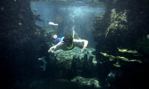 Frediving: Feel free! Frediving: Feel free!