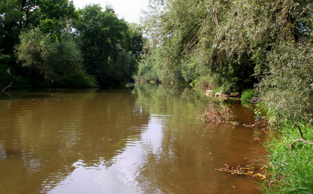 Lower Ohře River (Fluss Eger)