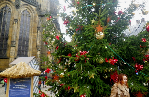 Vánoční strom na Hradě.