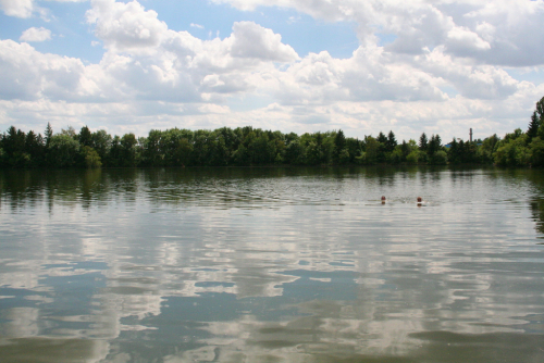 Podleský rybník, romantické koupání nedaleko Uhříněvsi.
