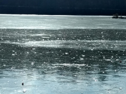 Kvalitní hladký led na Hamerském rybníku.
