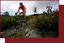 Adrenalin Cup, Thomas Nick
