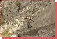 Adrenalin Plus 2005 