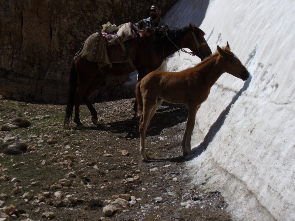 Afghnistn, putovn na koskm hbetu