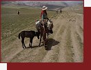 Afghnistn, putovn na koskm hbet