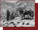Afghnistn, putovn na koskm hbet