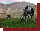 Afghnistn, putovn na koskm hbet