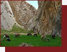 Afghnistn, putovn na koskm hbet