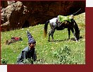 Afghnistn, putovn na koskm hbet