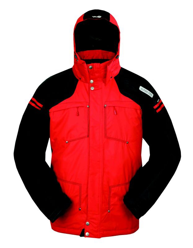 Alpine Pro 2008/2009