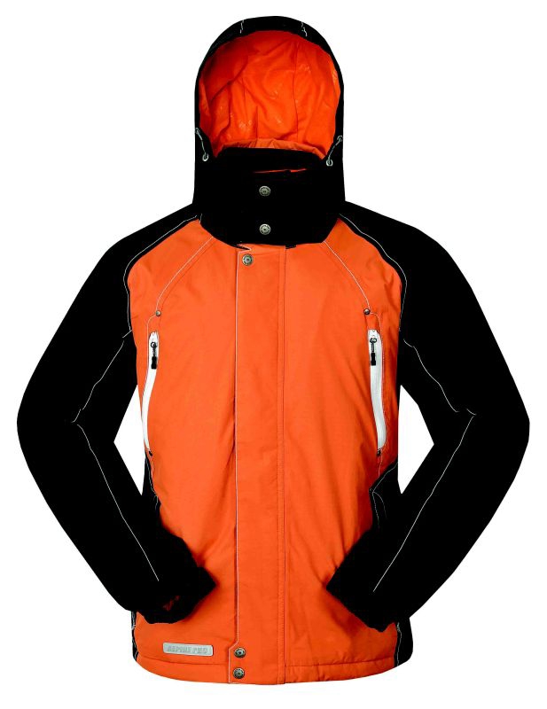 Alpine Pro 2008/2009