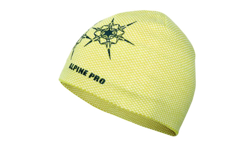 Alpine Pro 2008/2009