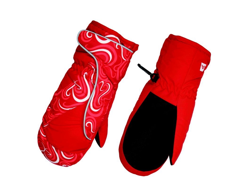 Alpine Pro 2008/2009