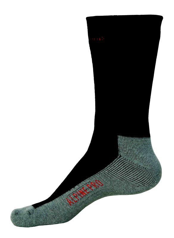 Alpine Pro 2008/2009
