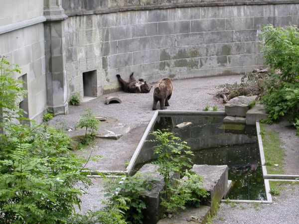 Bern - Horydoly.cz 