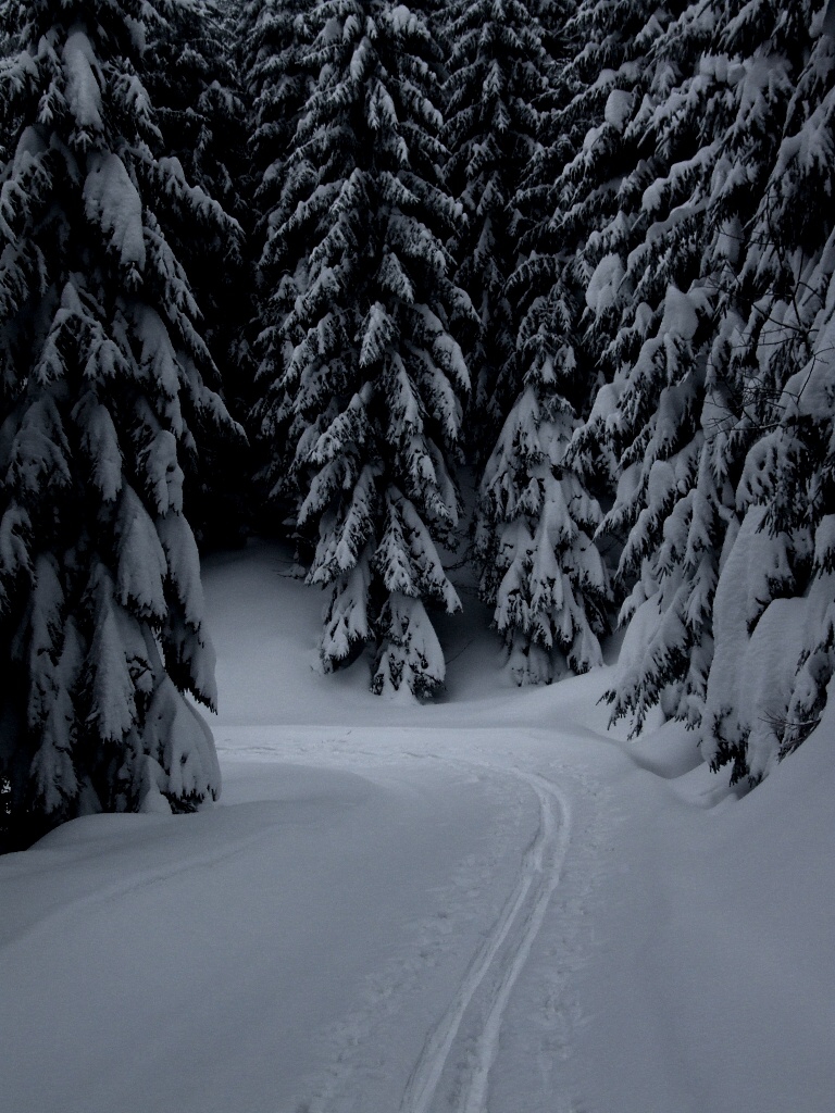 Beskydy, Javorov� a Ostr� vrch - Horydoly.cz 