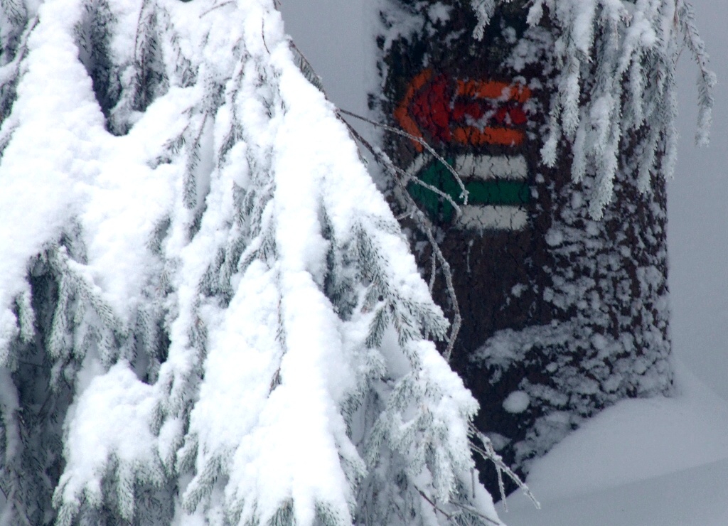 Beskydy, Javorov� a Ostr� vrch - Horydoly.cz 