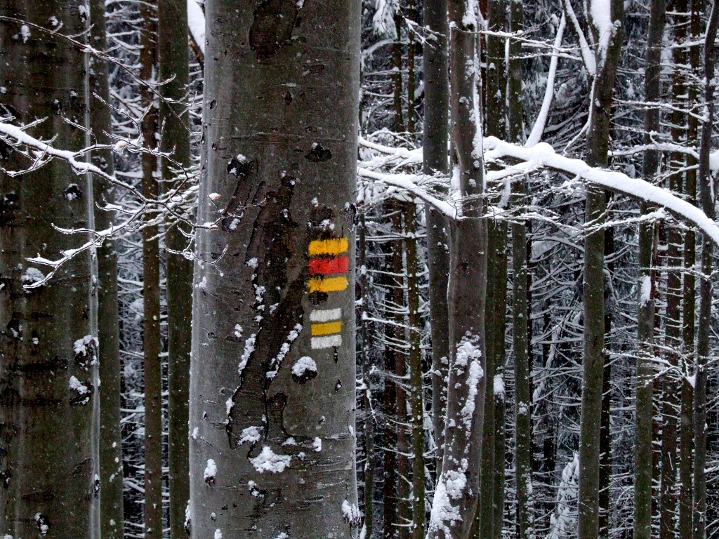 Beskydy, Javorov� a Ostr� vrch - Horydoly.cz 