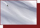 Big Mountain Pro 2009