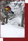 Big Mountain Pro 2009