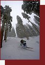 Big Mountain Pro 2009