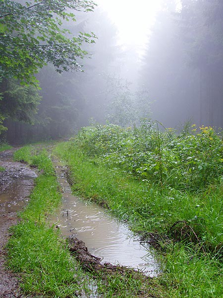 Bl Karpaty a Javornky na kole
