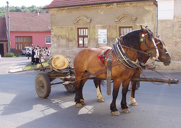 Bl Karpaty a Javornky na kole