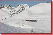 Bormio, Alpe San Colombano 2265 m n.m.  