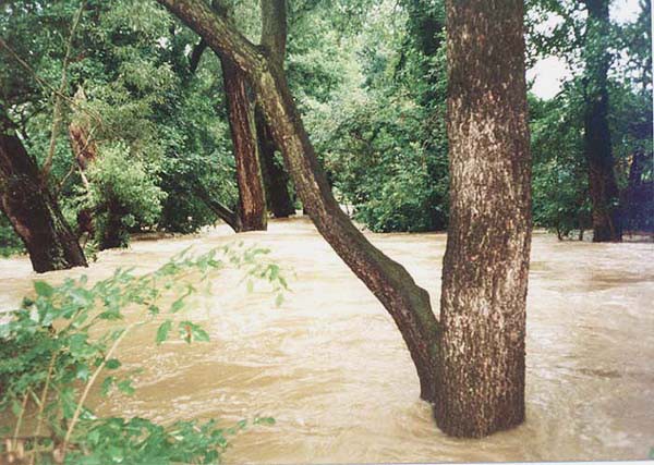 Botič, splutí 2004 a povodeň 2002