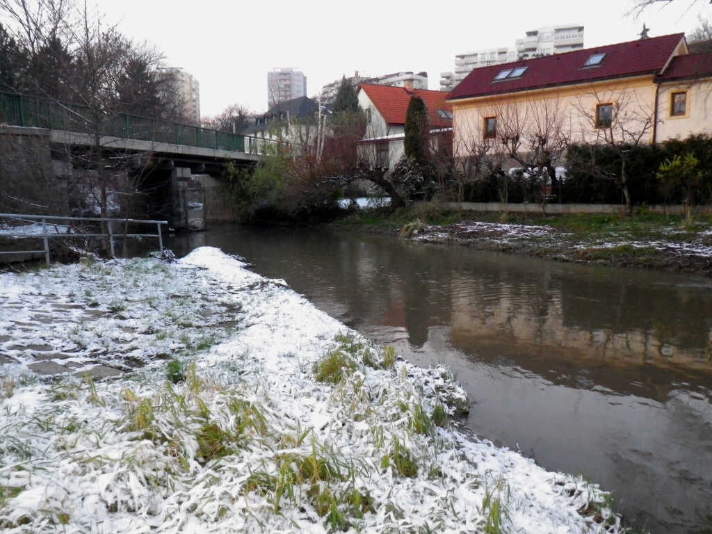 Boti 2010 - Horydoly.cz 