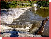 Boti,  jez u Zbhlickho zmeku 10.8.2010 