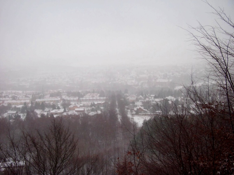 Skalka v Brdech zimn - Horydoly.cz 