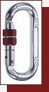 Oval Compact Screw Gate