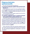 Vlakem za cykloturistikou - letk eskch drah 2008