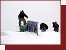 ern Dl, Jib Masters 2006