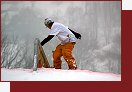 ern Dl, Jib Masters 2006