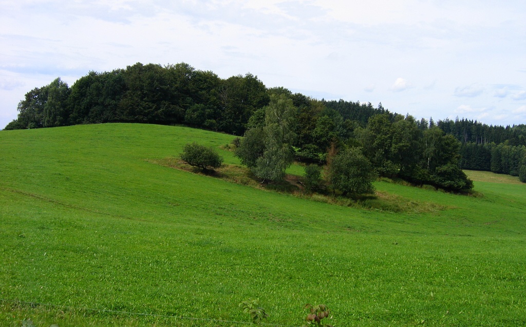 esk les z Tachova do Bl - Horydoly.cz 