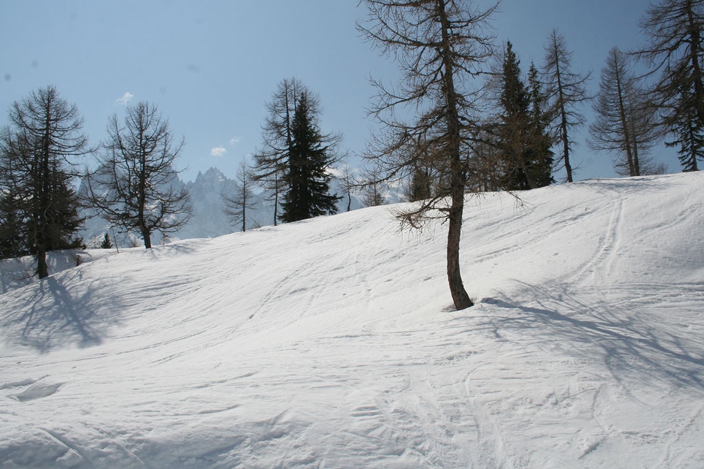 Chamonix, Brvent a Flegre