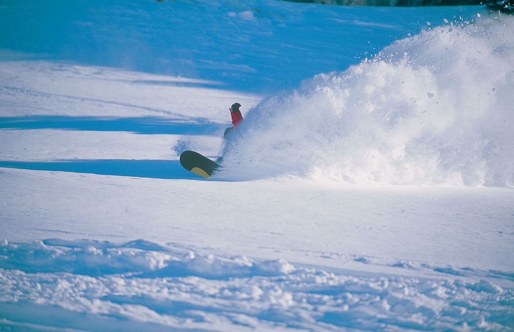 Chamonix, Brvent - Flgre