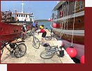 Trstenik, pstav