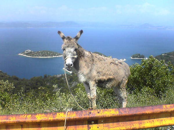 Chorvatsko, cyklistika a jachting