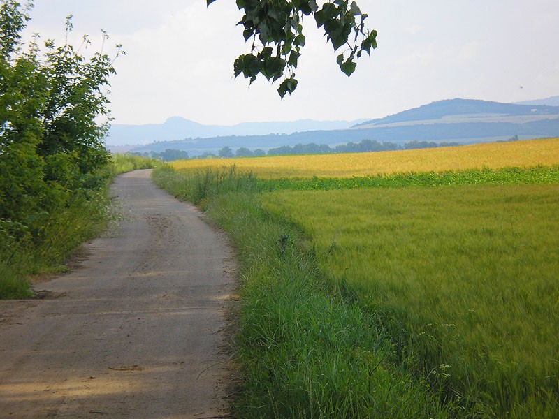 Elbe Radweg