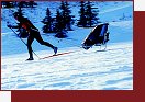 Skiset na cyklistickm vozku