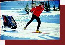 Skiset na cyklistickm vozku