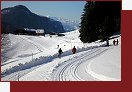 Ramsau am Dachstein