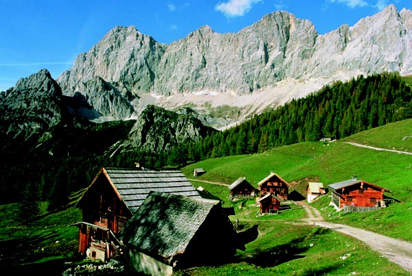 Dachstein, Untere Windlucke, Schmetterling