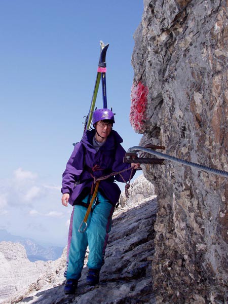 Dachstein, Untere Windlucke, Schmetterling