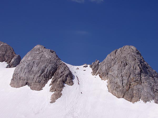Dachstein, Untere Windlucke, Schmetterling