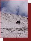 Dachstein, Westgratturm, plotny