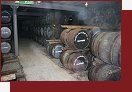 Skotsko, palrna whisky Dalwhinnie